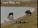 Кадр видео