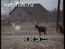 Кадр видео