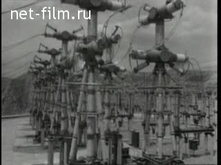 Newsreel Daily News / A Chronicle of the day №28-1976 (1976)