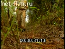 Footage frame