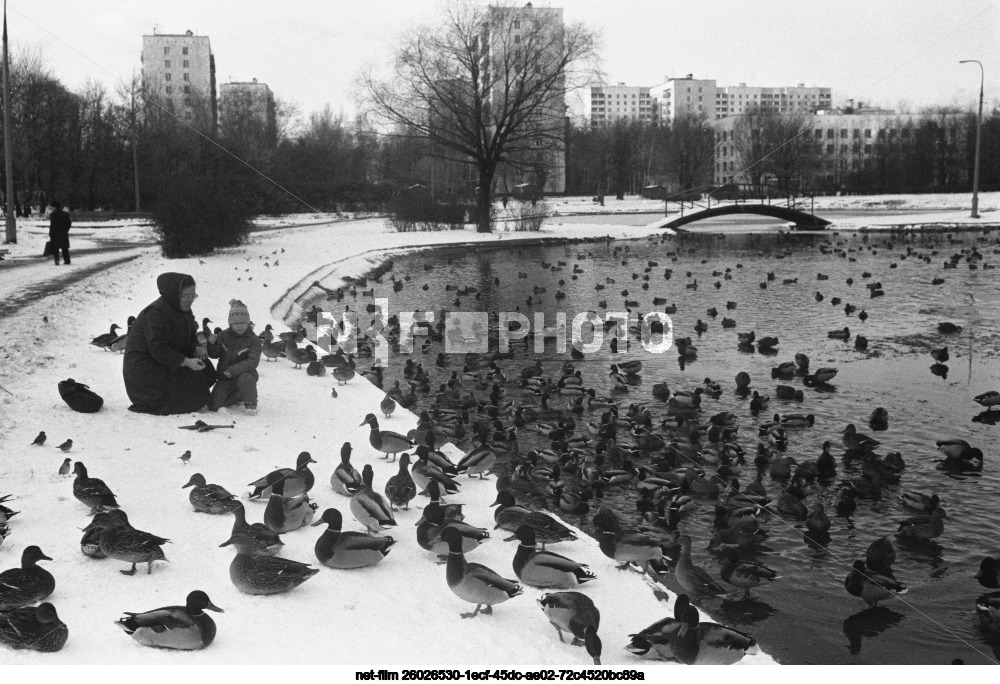 Парк "Дубки" в Москве