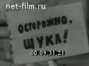 Кадр видео