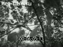 Footage frame