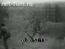 Кадр видео