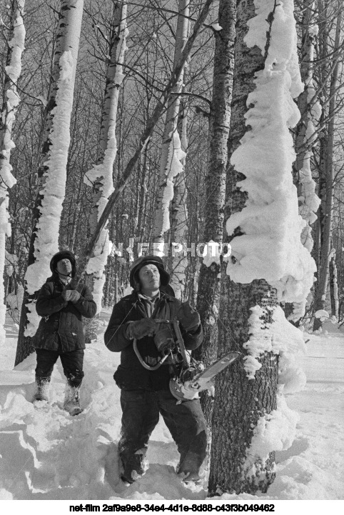 Леспромхоз "Залесовский" в Алтайском крае