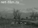 Кадр видео