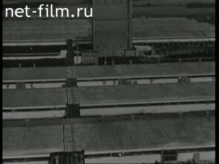 Newsreel Daily News / A Chronicle of the day №41-1976 (1976)