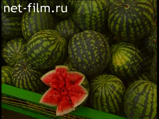 Кинохроника Торговля. (1995-1996)