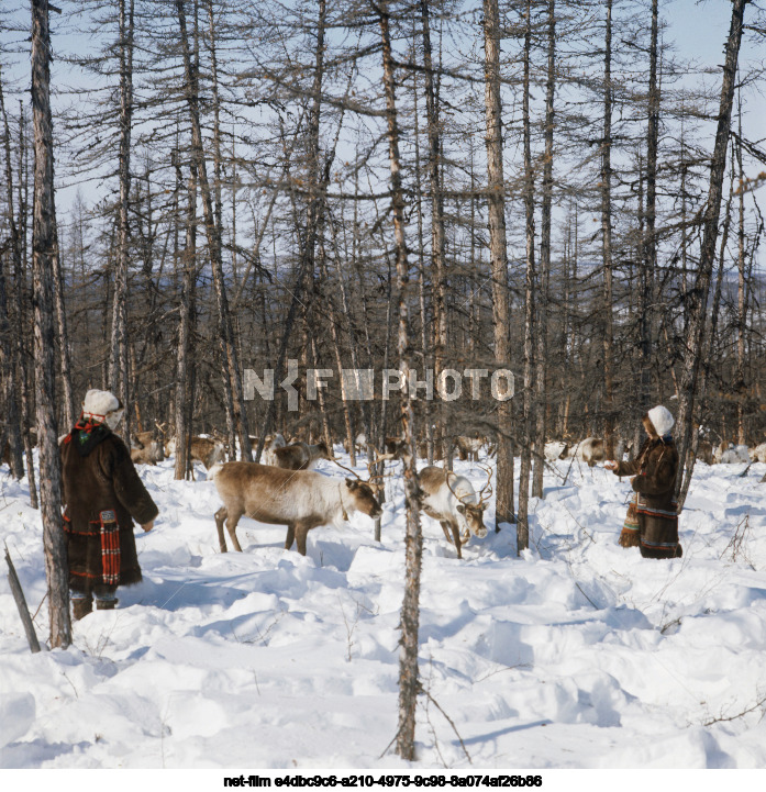 Праздник зимы в совхозе "Омолон"