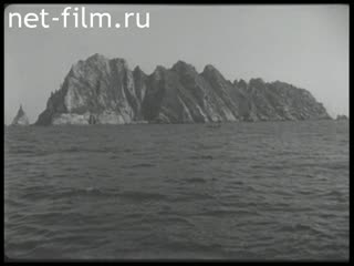 Фильм В Дальневосточных морях. (1955)