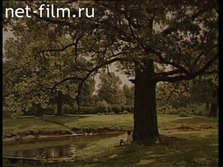 Кинохроника Музей Академии Художеств. (1995)