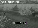 Кадр видео