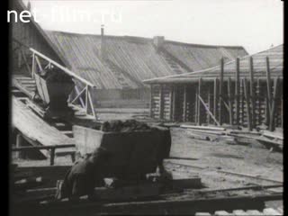 Movie Solovki (Solovki prison camp). (1927)