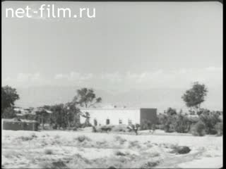 Newsreel Daily News / A Chronicle of the day №28 (1950)