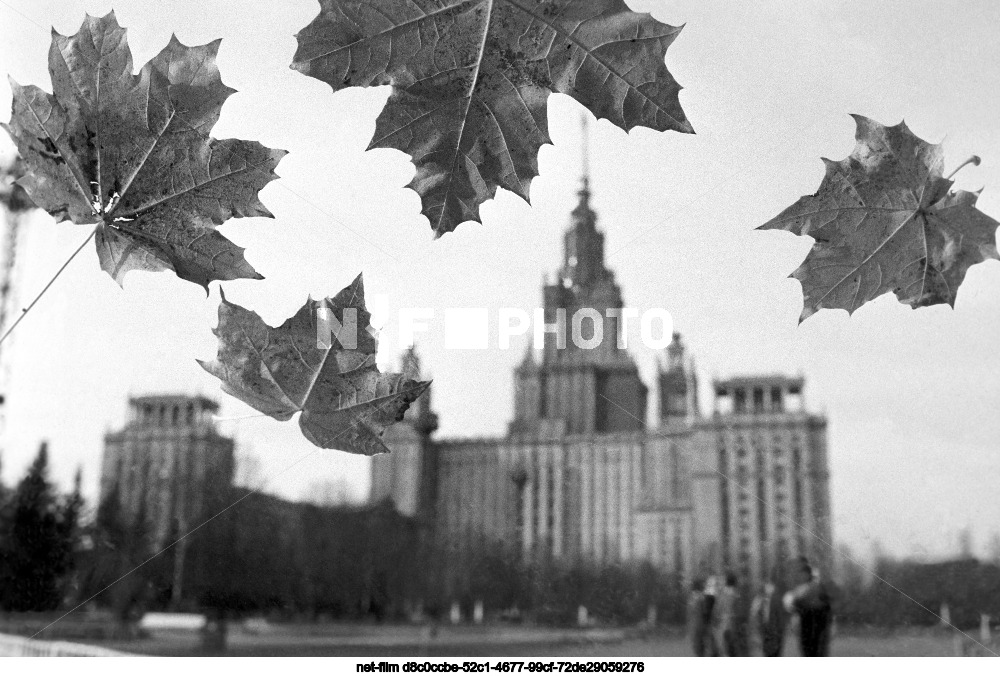 МГУ имени М.В. Ломоносова