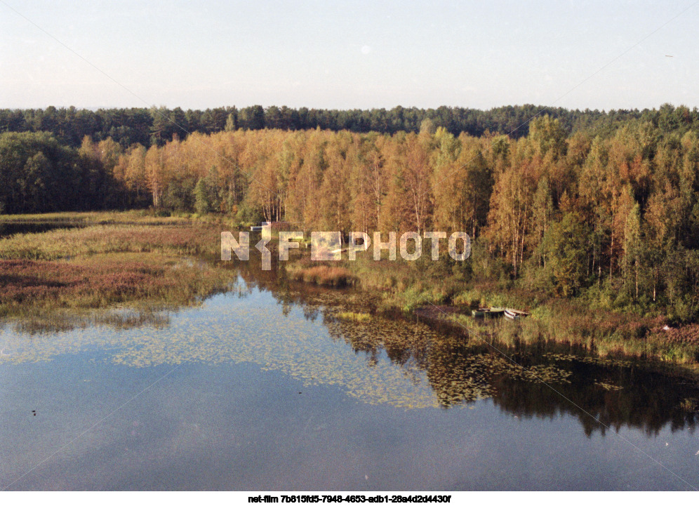 Природа Новгородской области