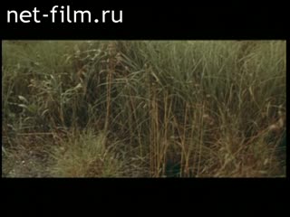 Фильм Слово о Ростове Великом. (1963)
