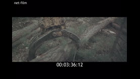 Footage frame