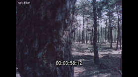 Footage frame