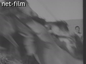 Кинохроника Табун лошадей. (1935-1939)