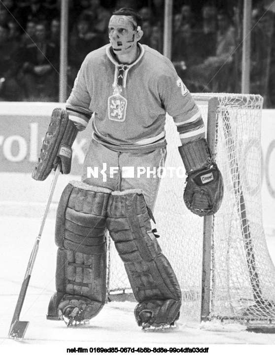 World and European Ice Hockey Championships in Moscow