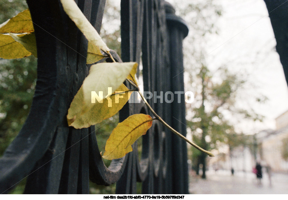 Осень в Твери