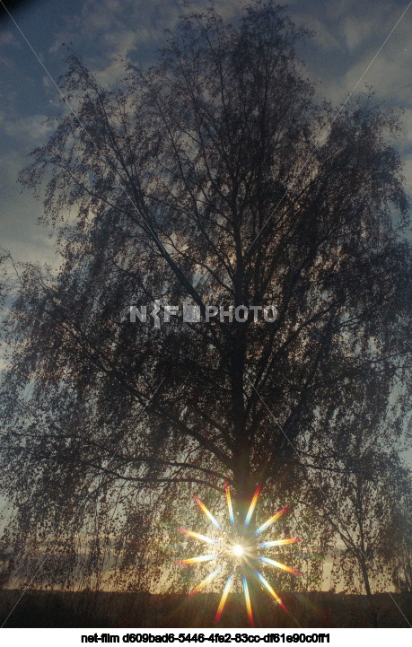 Nature of Moscow Region