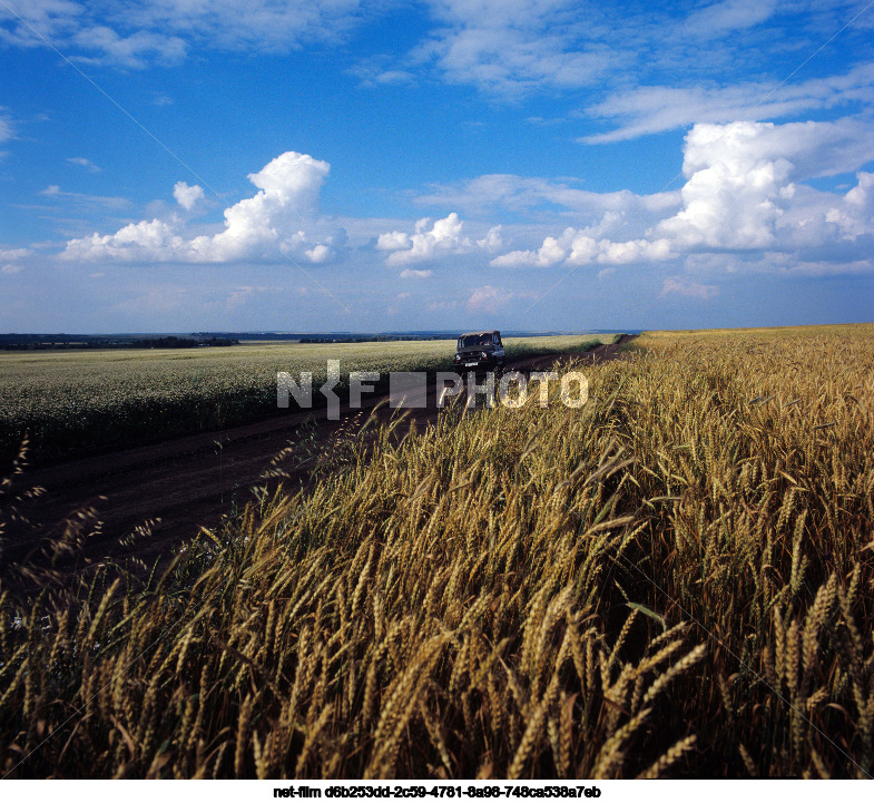 Views of Kursk region