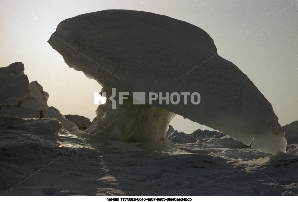 Природа острова Голомянный