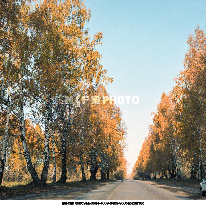 Views of Kursk region