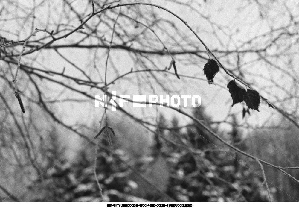 Виды Москвы