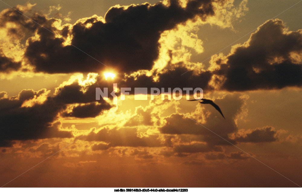 Природа Краснодарского края