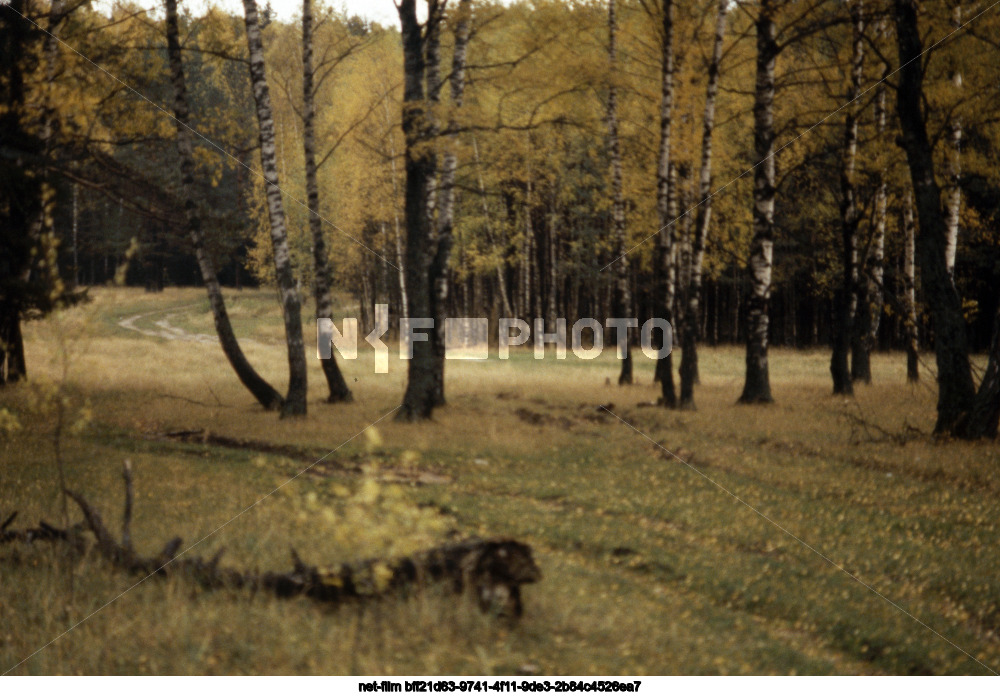 Autumn in the Moscow region