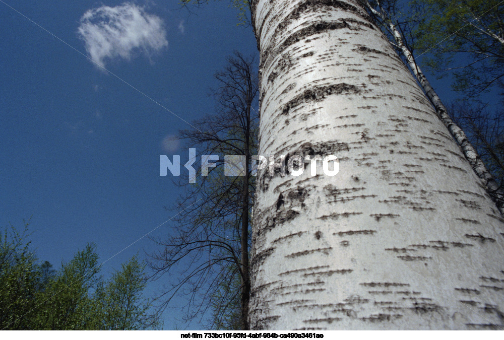 Природа Подмосковья