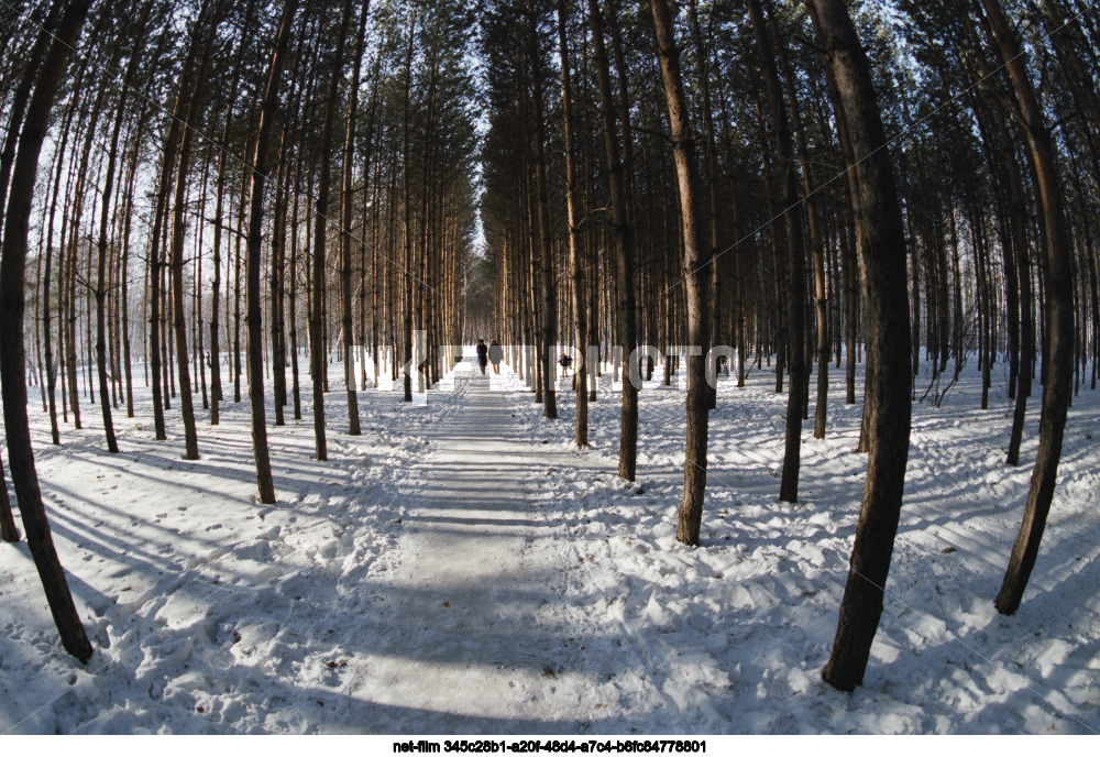 Виды Новосибирска