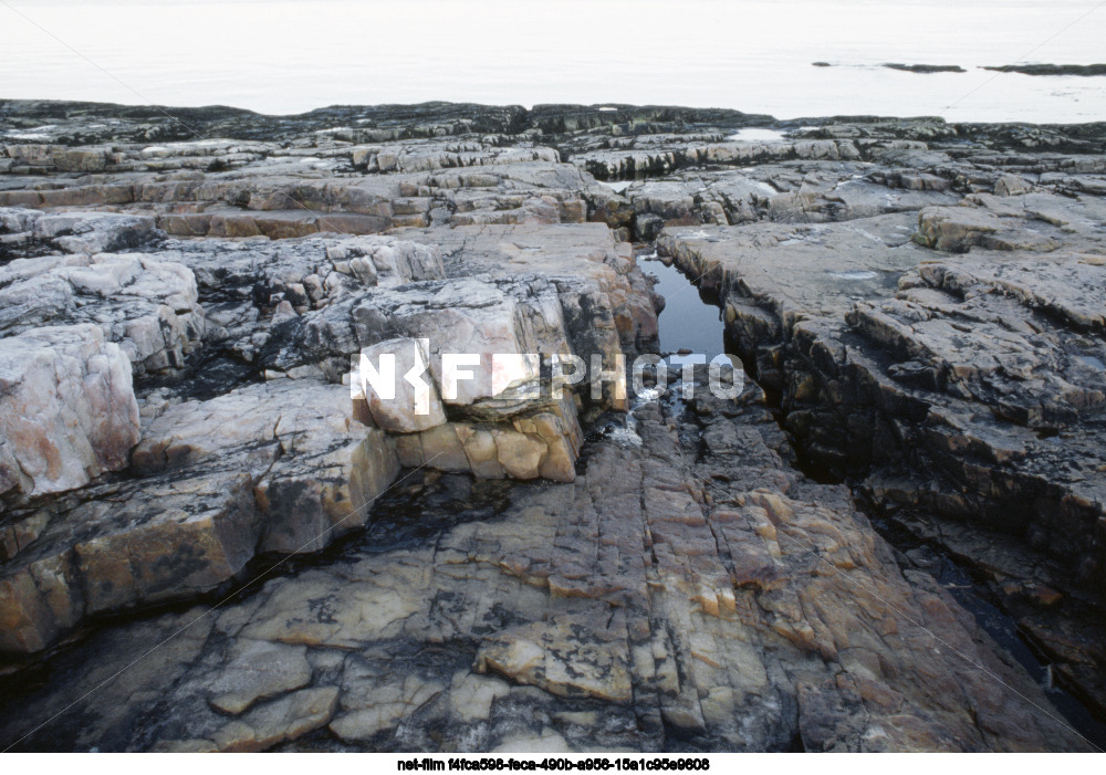 Остров Сосновец в Белом море