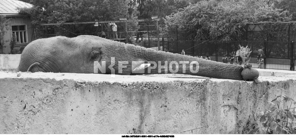 Московский зоопарк