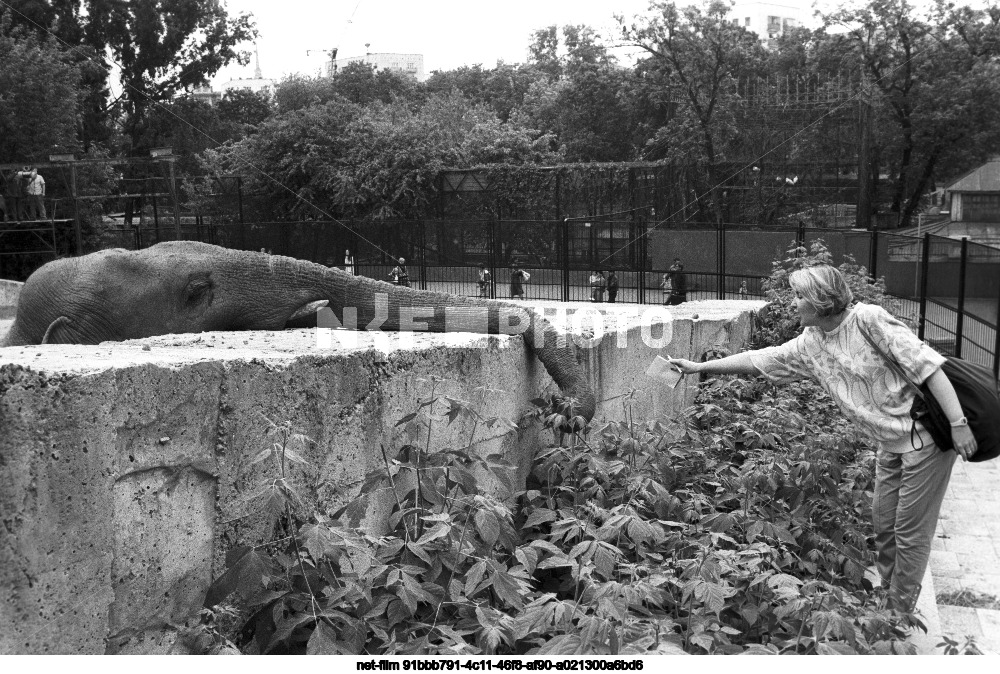 Московский зоопарк