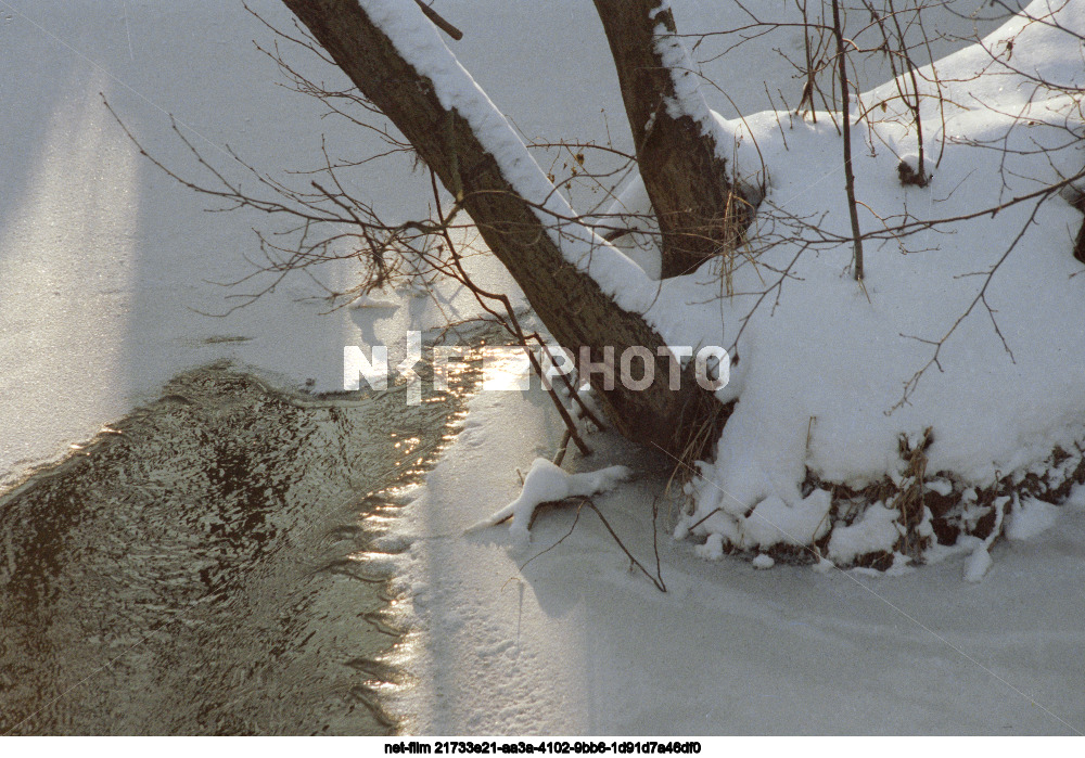 Nature of the Moscow region