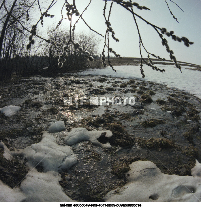 Spring in the Moscow region