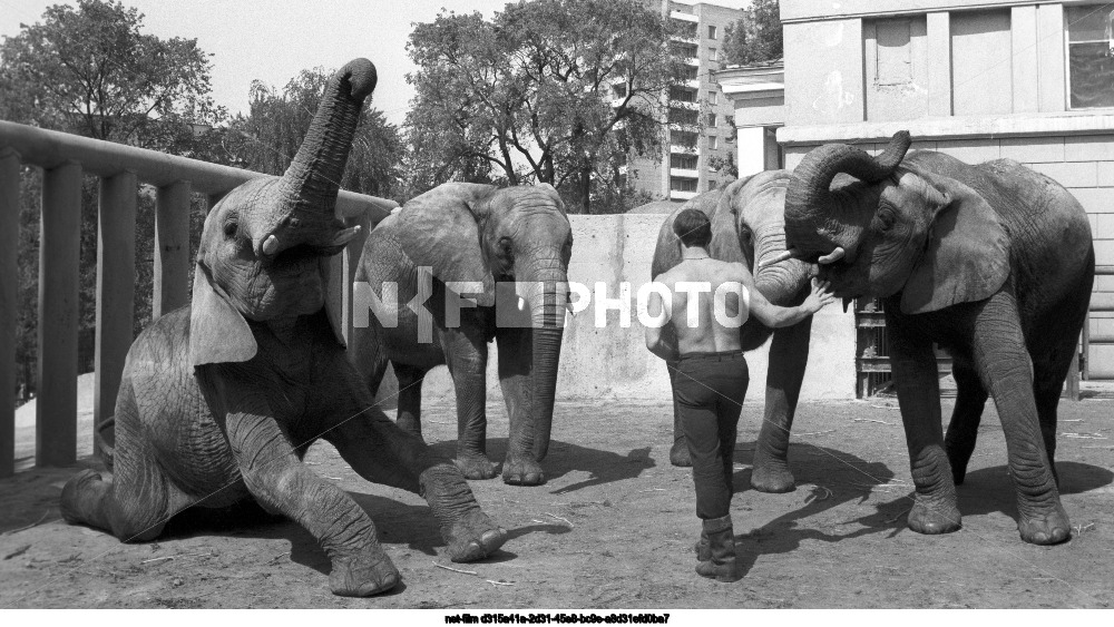 Московский зоопарк