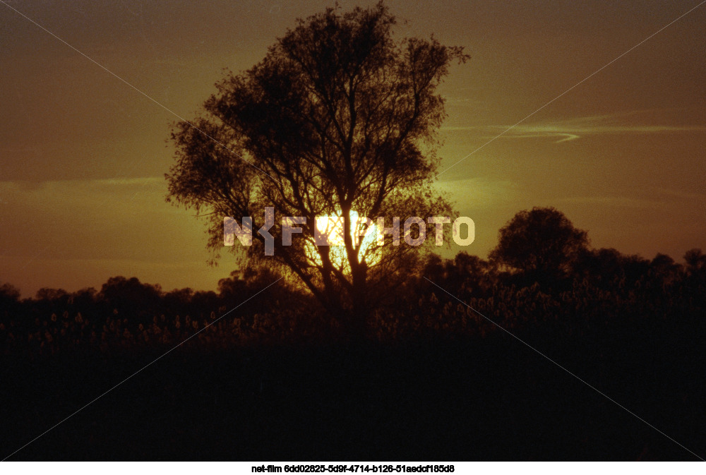 Природа Астраханской области