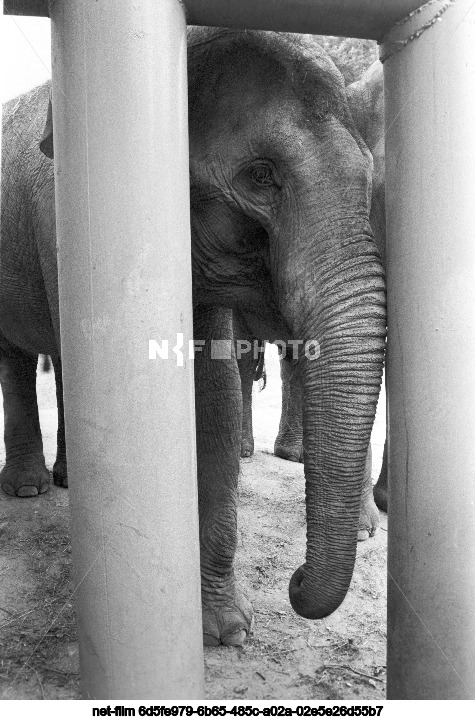 Московский зоопарк