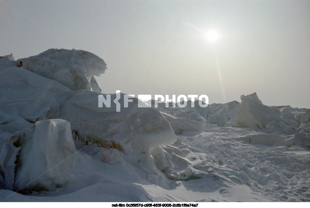 Природа острова Голомянный