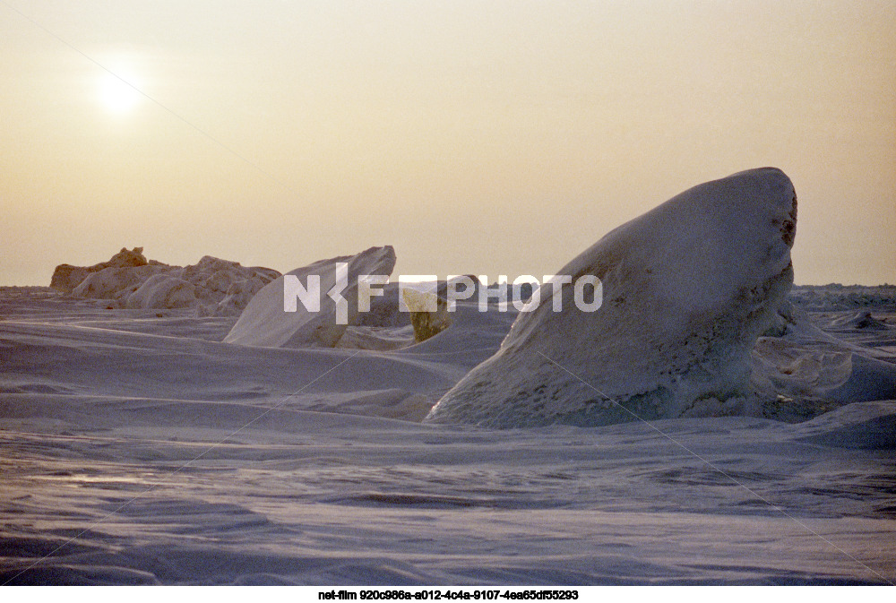 Природа острова Голомянный