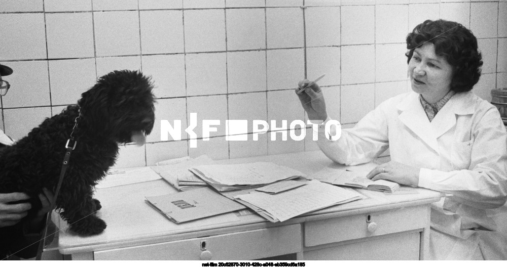 Veterinary clinic in Moscow