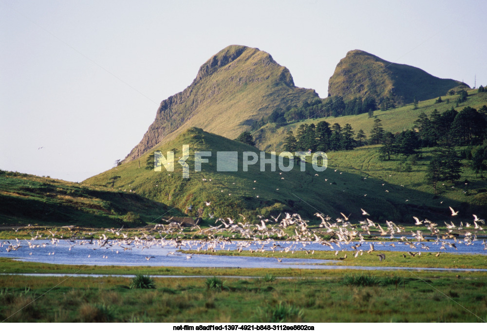 Природа Сахалинской области