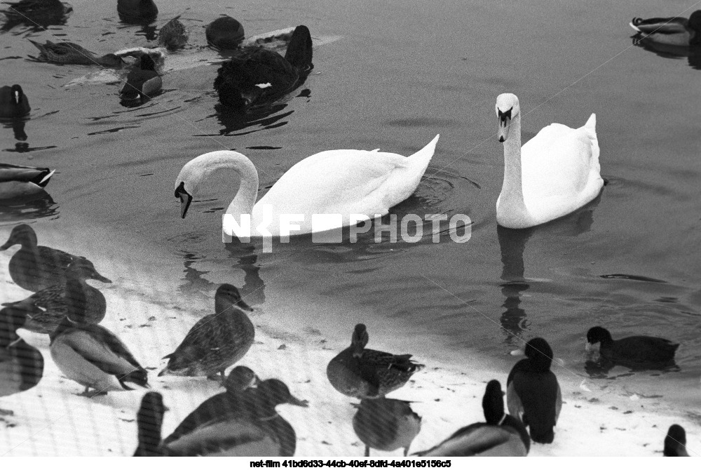 Московский зоопарк