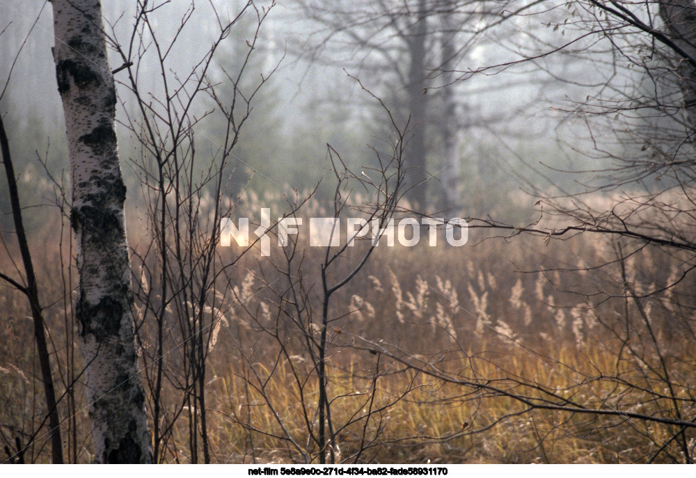 Природа Московской области