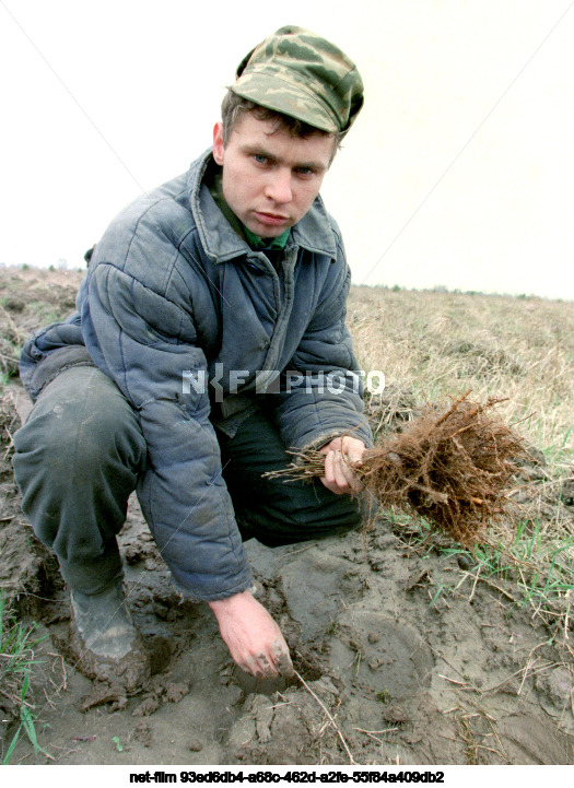 Polesie State Radiation and Ecological Reserve in the Gomel Region